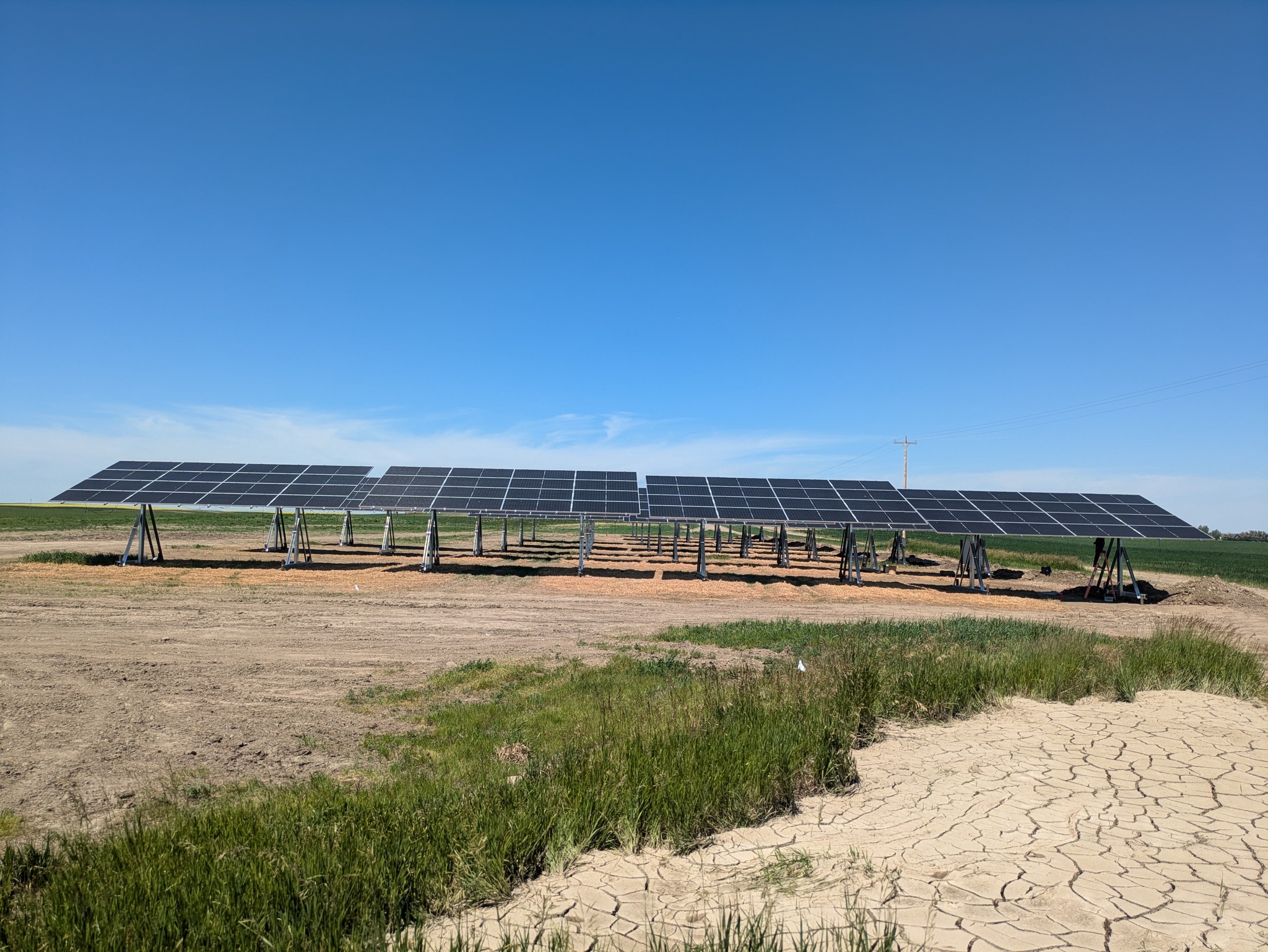 A bright sunny field with a large amount of ground-mounted solar systems in it